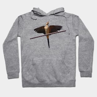 Swallow Bird Singing With Wıngs Outstretched Cut Out Hoodie